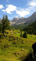 Scenic view of landscape against cloudy sky