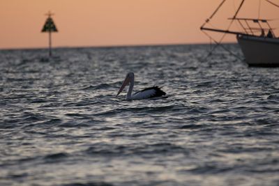 People in sea against sky during sunset