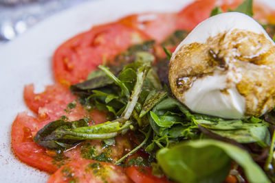 Traditional italian caprese salad with mozzarella and tomatoes