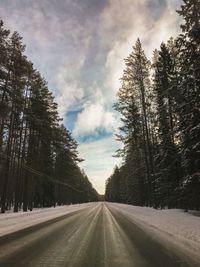 Road by trees against sky during winter