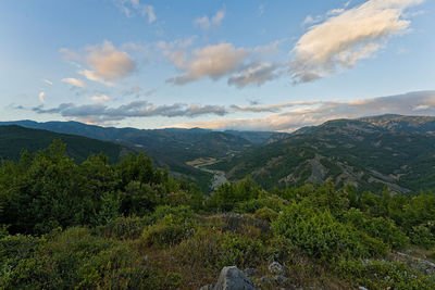 environment