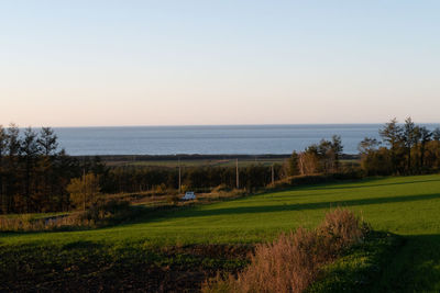 Scenic view of sea against clear sky