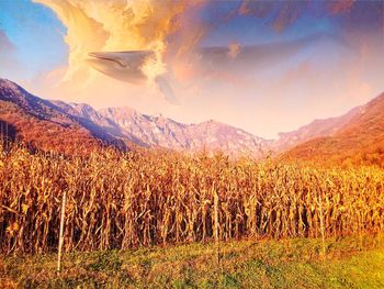 Scenic view of agricultural field against dramatic sky