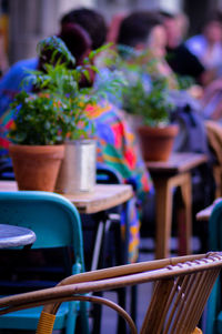 Close-up of potted plant on table