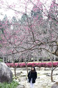 Low section of woman with pink umbrella against sky