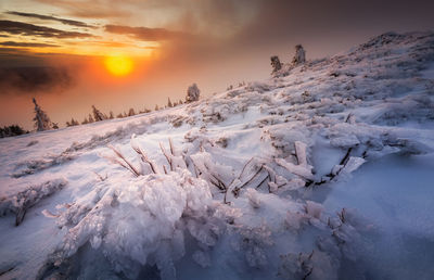Snow covered landscape against sky during sunset in vladeasa mountains 