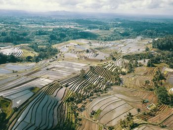 High angle view of agricultural field against sky
