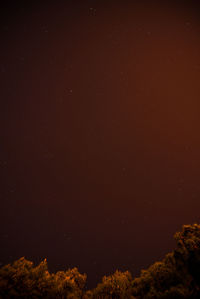 Low angle view of stars in sky at night