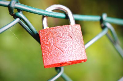 Close-up of padlocks on railing