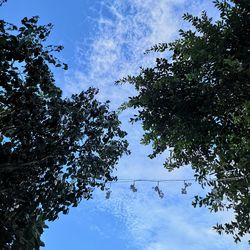 Low angle view of people on plant against sky