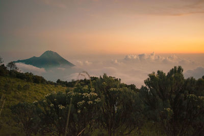 Scenic view of landscape against sky during sunset