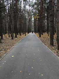 Surface level of road amidst trees in forest