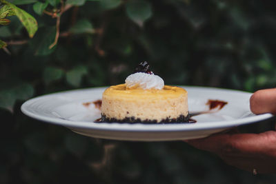 Cropped image of hand holding dessert in plate