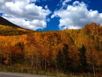 Scenic view of landscape against cloudy sky