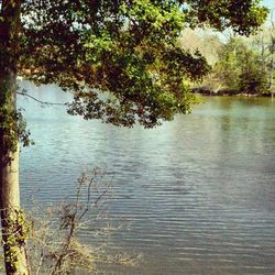 Scenic view of lake