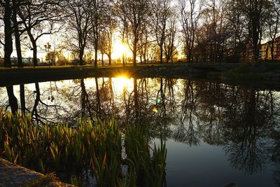 Reflection of trees in lake during sunset