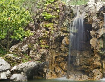 Scenic view of waterfall