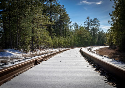 Railroad tracks by road in forest against sky