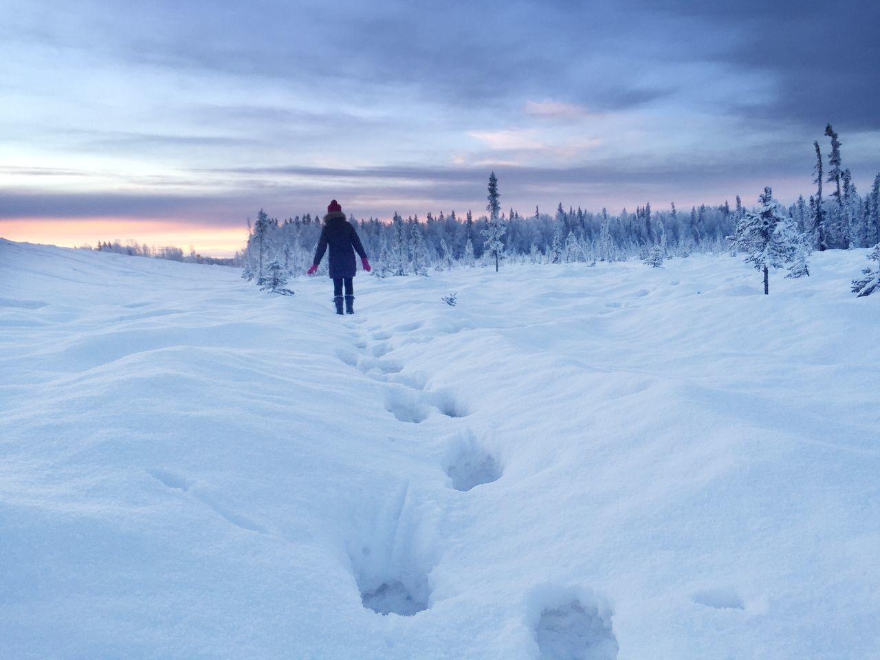 snow, winter, cold temperature, season, weather, covering, tranquil scene, tranquility, leisure activity, beauty in nature, full length, sky, lifestyles, scenics, frozen, nature, rear view, landscape