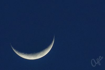 Low angle view of moon against clear sky at night