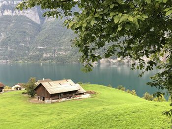 Scenic view of lake