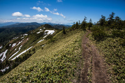 Scenic view of landscape against sky