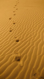Footprints on sand at desert
