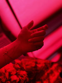 Close-up of hand with pink red petals