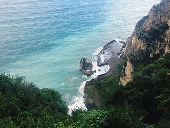 High angle view of sea and trees