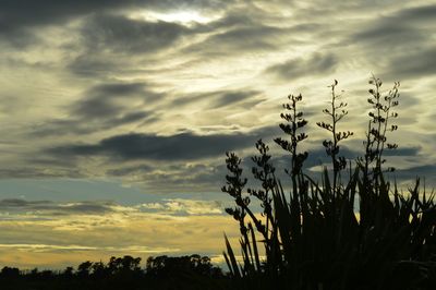 Scenic view of field against cloudy sky