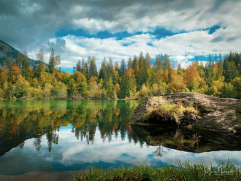 Scenic view of lake by trees against sky