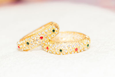 Close-up of a lizard on white background