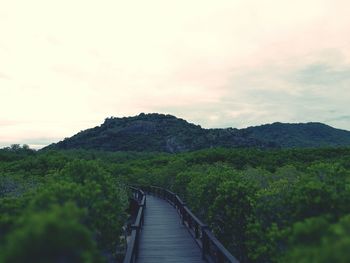 Scenic view of farm against sky