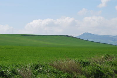 Scenic view of field against sky