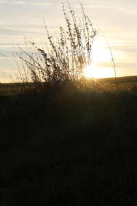 Scenic view of landscape at sunset