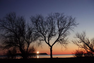 Silhouette bare trees against sky during sunset