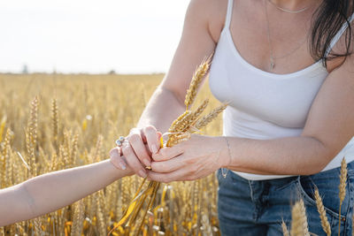 Midsection of woman holding wheat