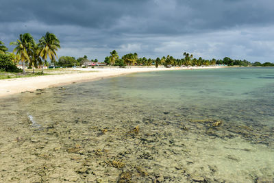 Scenic view of beach against sky