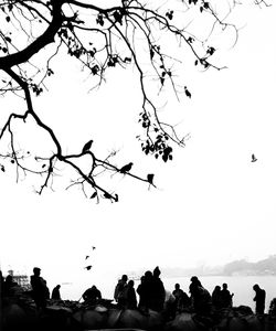 Group of silhouette people against clear sky