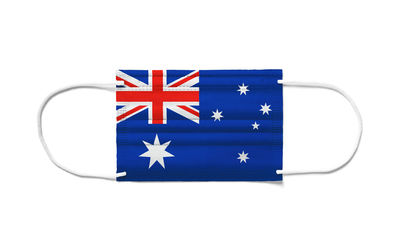 Close-up of flag against white background