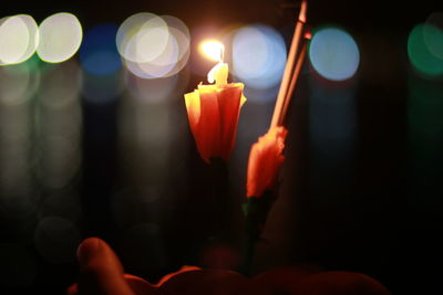 Close-up of lit candles on plant at night