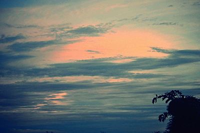 Scenic view of tree against sky at sunset