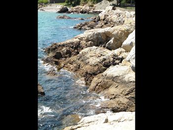 Close-up of sea shore at beach