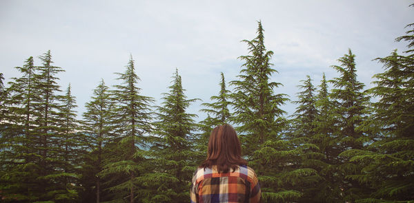 Low angle view of trees against sky