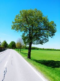 Road amidst trees on field against sky