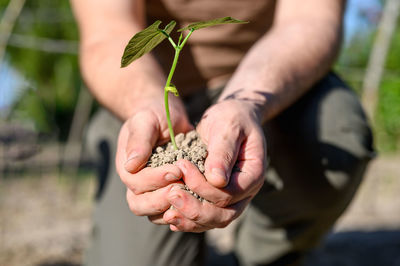 Close-up of hand holding plant