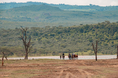 Tourists riding horses at the shores of lake elementaita in soysambu conservancy, naivasha, kenya 