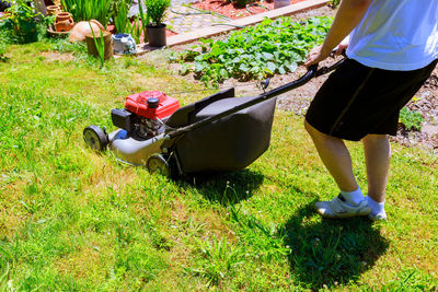 Low section of man mowing in lawn during sunny day