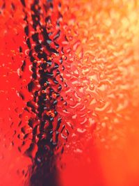 Extreme close up of red flower