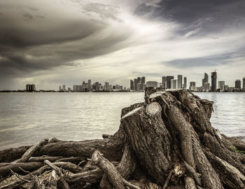 View of city by sea against sky